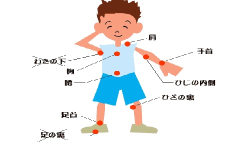 Bộ phận cơ thể trong tiếng Nhật