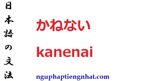 Ngữ pháp かねない kanenai