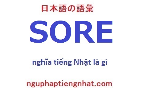 Sore tiếng Nhật có nghĩa là gì?