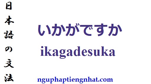 ngữ pháp いかがですか ikagadesuka - tổng hợp ngữ pháp