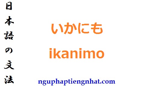 Ngữ pháp いかにも ikanimo