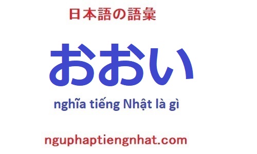 おおい tiếng Nhật có nghĩa là gì