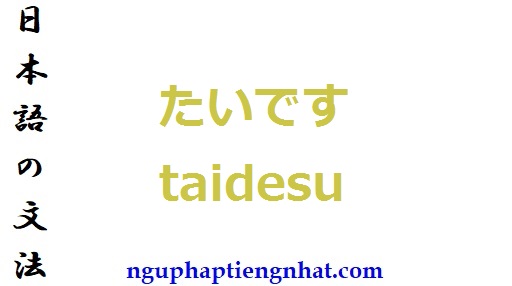 ngữ pháp たいです taidesu