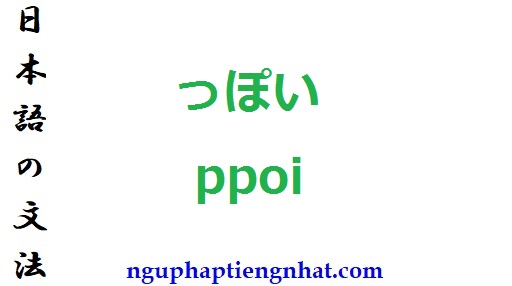 Ngữ pháp っぽい ppoi