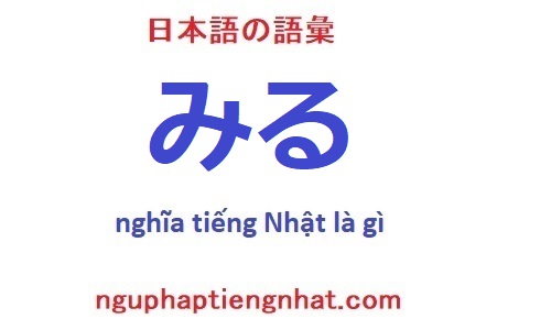 みる tiếng Nhật là gì