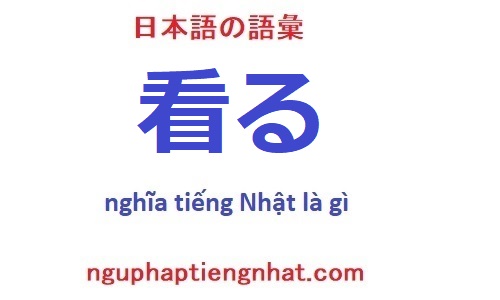 看る tiếng Nhật là gì