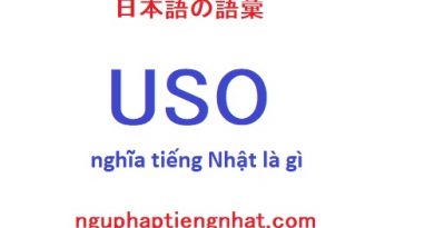 Uso trong tiếng nhật là gì