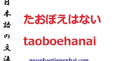 Ngữ pháp たおぼえはない taoboehanai