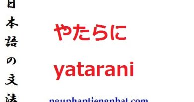 Ngữ pháp やたらに yatarani